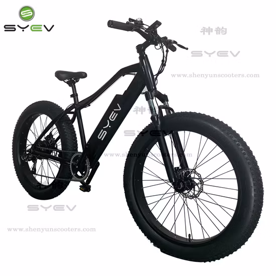 2022 Neues Design Mountainbike Self